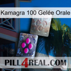 Kamagra 100 Gelée Orale 38